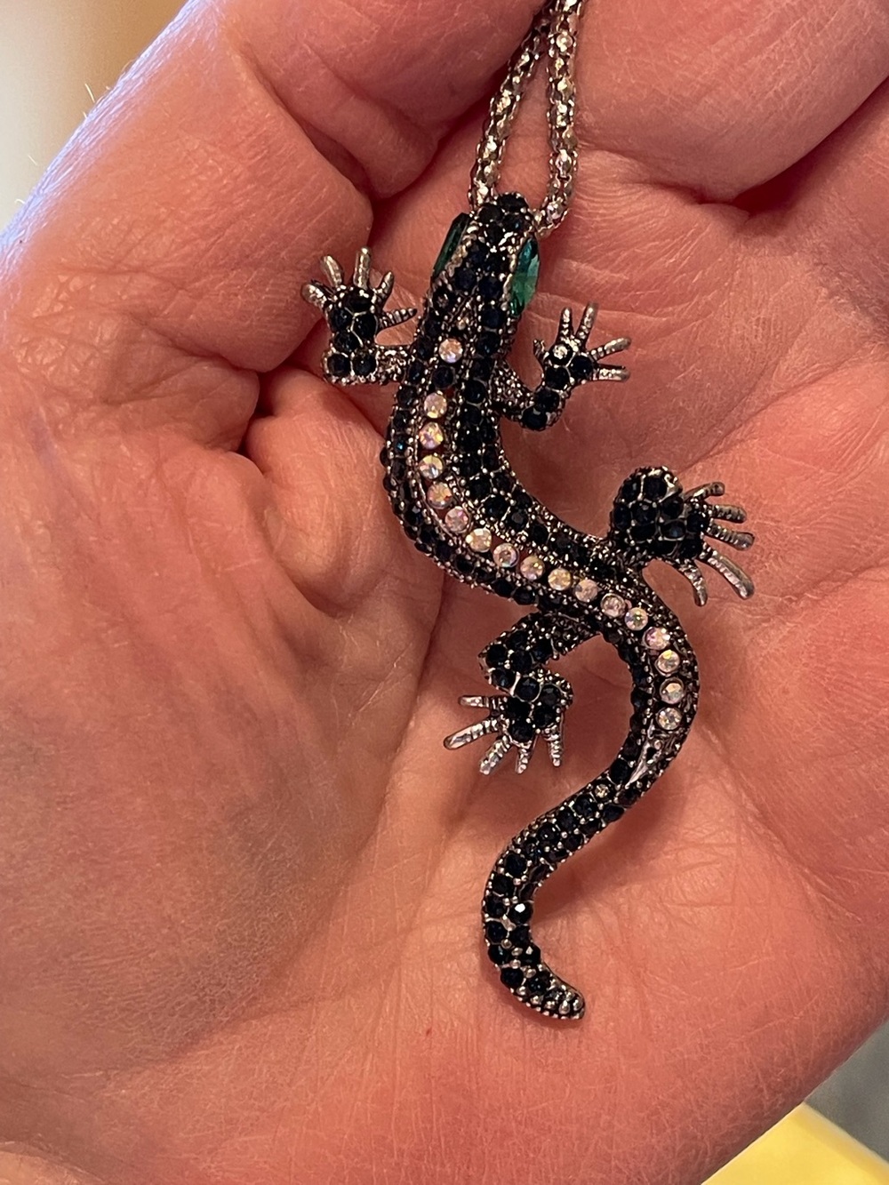 Black Crystal Lizard Pendant brooch and a necklace.NWOT